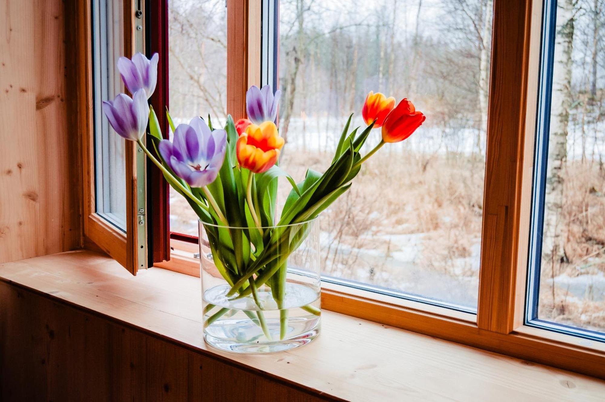 Etc Torp Villa *